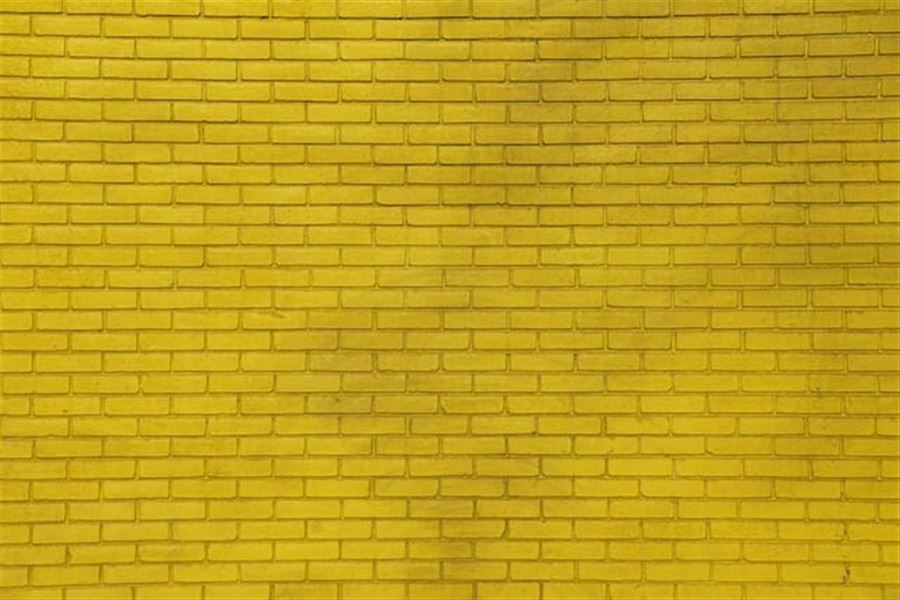 Alt du skal vide om murmaling