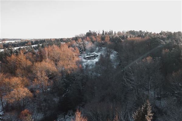 Sommerhusudlejning – En Oase af Afslapning og Eventyr