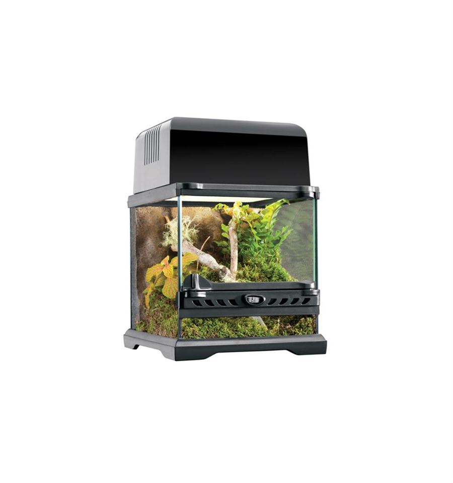 Gør dit hjem levende med et køb af terrarie