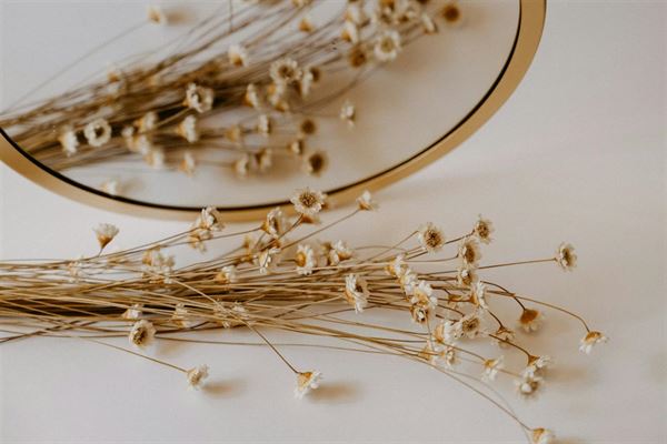 Derfor bør du vælge et spejl med indbygget lys